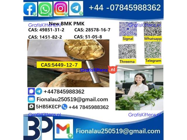 CAS 5449-12-7 BMK Glycidic Acid (sodium salt) 99% Powder