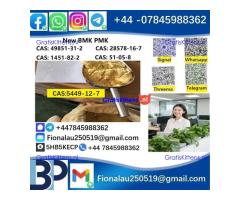 CAS 5449-12-7 BMK Glycidic Acid (sodium salt) 99% Powder