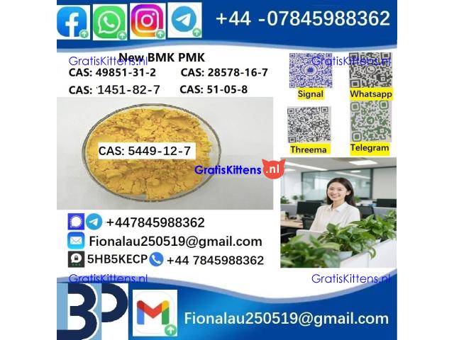 5449-12-7 New B.M.K powder strong effect factory Large supply B.M.K