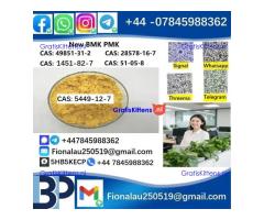 5449-12-7 New B.M.K powder strong effect factory Large supply B.M.K