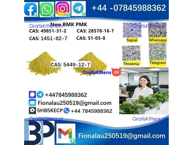 5449-12-7 New B.M.K powder strong effect factory Large supply B.M.K