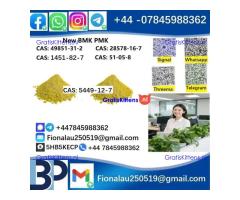5449-12-7 New B.M.K powder strong effect factory Large supply B.M.K