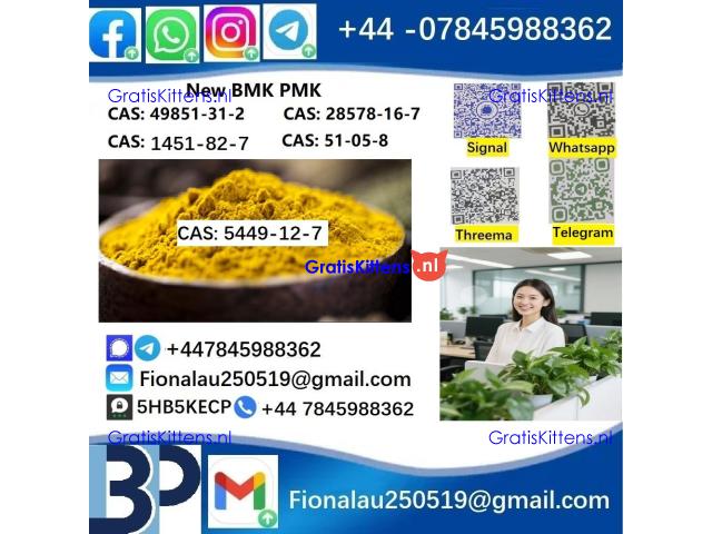 5449-12-7 New B.M.K powder strong effect factory Large supply B.M.K