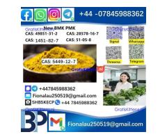 5449-12-7 New B.M.K powder strong effect factory Large supply B.M.K