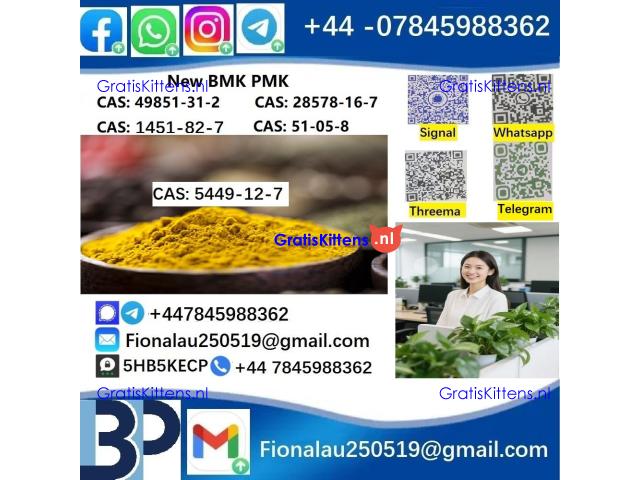 5449-12-7 New B.M.K powder strong effect factory Large supply B.M.K