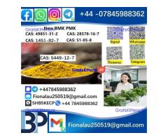5449-12-7 New B.M.K powder strong effect factory Large supply B.M.K