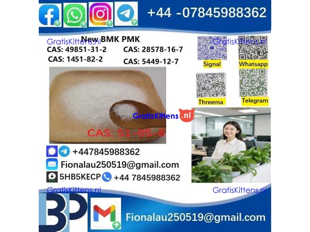 51-05-8 Cerata Procaine (Novocaine) Hcl Api Powder 51-05-8