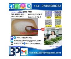 51-05-8 Cerata Procaine (Novocaine) Hcl Api Powder 51-05-8