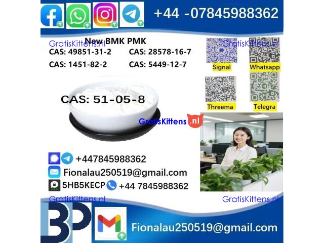 51-05-8 Cerata Procaine (Novocaine) Hcl Api Powder 51-05-8