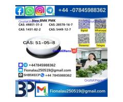 51-05-8 Cerata Procaine (Novocaine) Hcl Api Powder 51-05-8