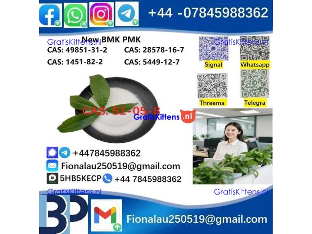 51-05-8 Cerata Procaine (Novocaine) Hcl Api Powder 51-05-8