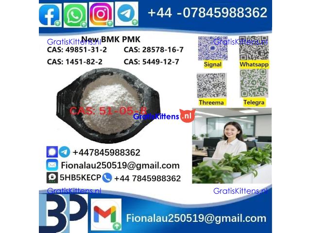 51-05-8 Cerata Procaine (Novocaine) Hcl Api Powder 51-05-8