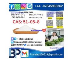 cas51-05-8 Cerata Procaine (Novocaine) Hcl Api Powder 51-05-8