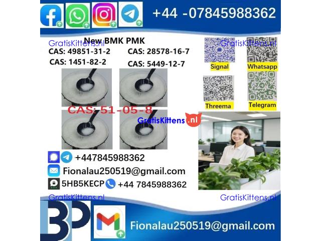 cas51-05-8 Cerata Procaine (Novocaine) Hcl Api Powder 51-05-8