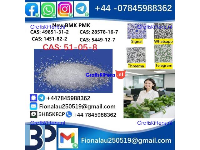 cas51-05-8 Cerata Procaine (Novocaine) Hcl Api Powder 51-05-8
