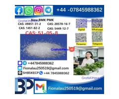 cas51-05-8 Cerata Procaine (Novocaine) Hcl Api Powder 51-05-8