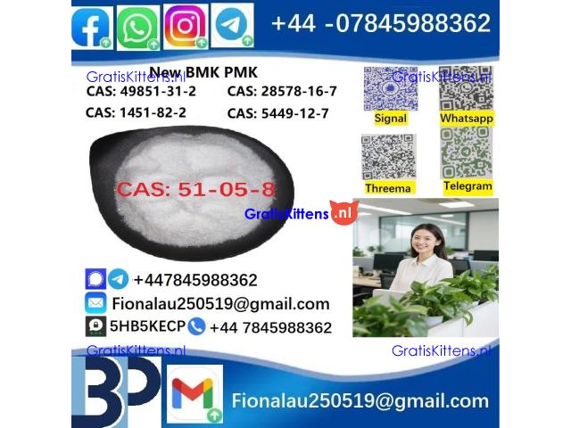 cas51-05-8 Cerata Procaine (Novocaine) Hcl Api Powder 51-05-8