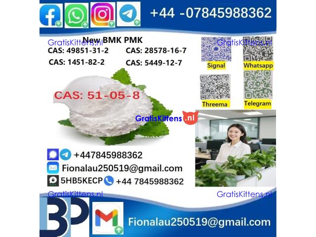 cas51-05-8 Cerata Procaine (Novocaine) Hcl Api Powder 51-05-8