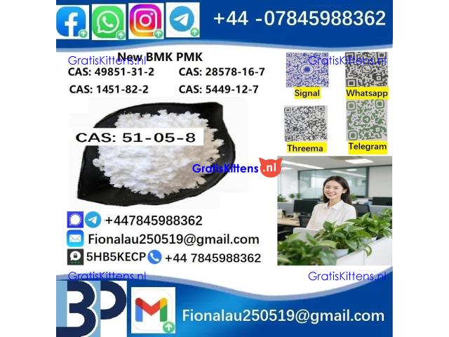 51-05-8 Procaine HCl raw materials
