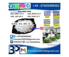 51-05-8 Procaine HCl raw materials
