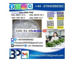 51-05-8 Procaine HCl raw materials