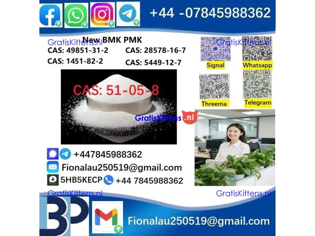 51-05-8 BMK PMK Procaine HCl raw materials
