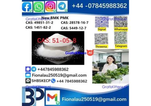 51-05-8 BMK PMK Procaine HCl raw materials