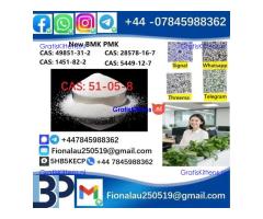 51-05-8 BMK PMK Procaine HCl raw materials