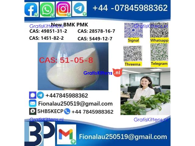 51-05-8 BMK PMK Procaine HCl raw materials