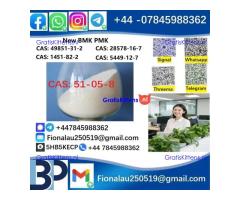 51-05-8 BMK PMK Procaine HCl raw materials