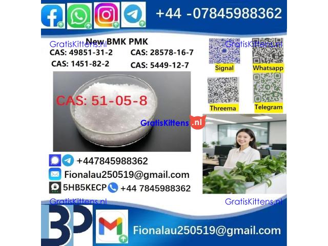 51-05-8 BMK PMK Procaine HCl raw materials