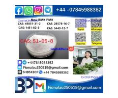 51-05-8 BMK PMK Procaine HCl raw materials