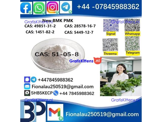 51-05-8 BMK PMK Procaine HCl raw materials