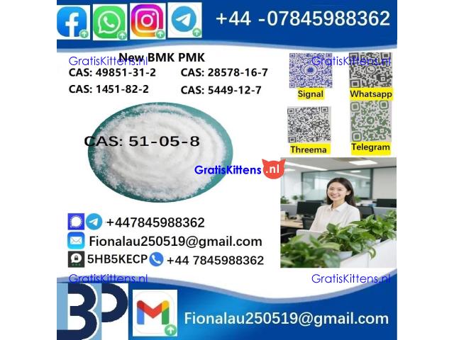 cas51-05-8 BMK PMK Procaine HCl raw materials