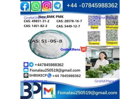 cas51-05-8 BMK PMK Procaine HCl raw materials
