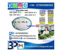 cas51-05-8 BMK PMK Procaine HCl raw materials