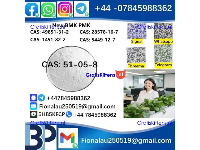 cas51-05-8 BMK PMK Procaine HCl raw materials