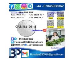 cas51-05-8 BMK PMK Procaine HCl raw materials