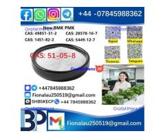 cas51-05-8 BMK PMK Procaine HCl raw materials