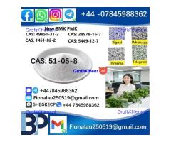cas51-05-8 BMK PMK Procaine HCl raw materials