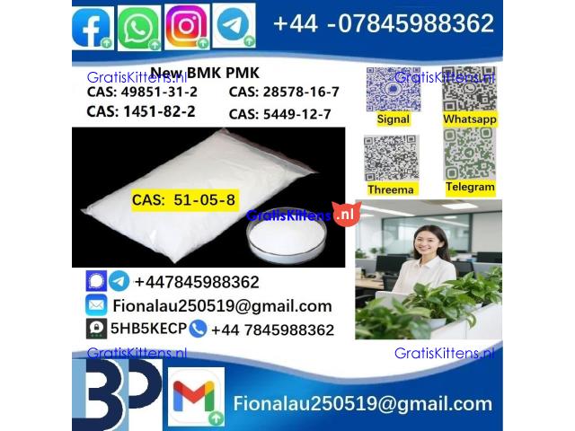 BMK PMK 51-05-8 Procaine HCl raw materials
