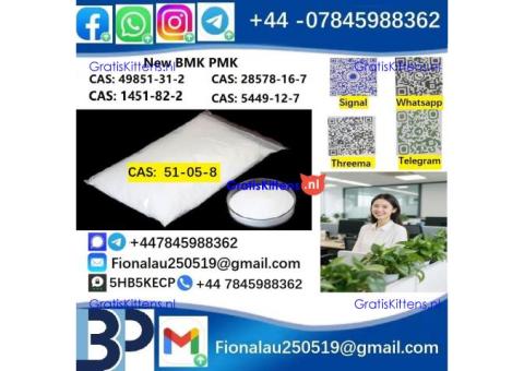BMK PMK 51-05-8 Procaine HCl raw materials