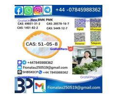 BMK PMK 51-05-8 Procaine HCl raw materials