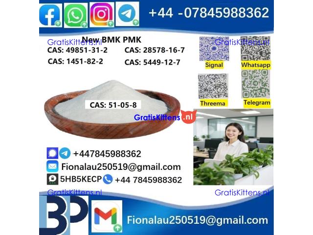BMK PMK 51-05-8 Procaine HCl raw materials