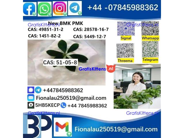 BMK PMK 51-05-8 Procaine HCl raw materials