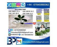 BMK PMK 51-05-8 Procaine HCl raw materials