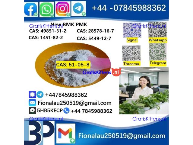 BMK PMK cas51-05-8 Procaine HCl raw materials