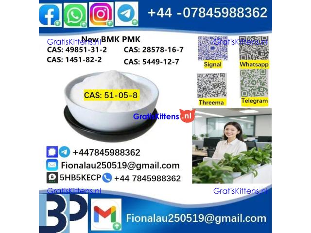 BMK PMK cas51-05-8 Procaine HCl raw materials