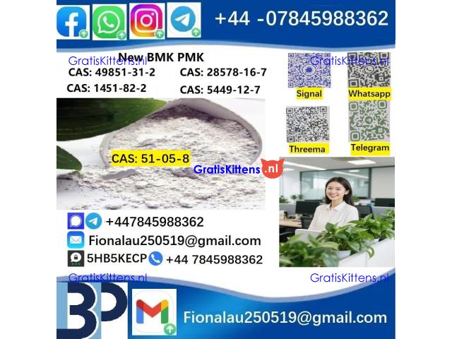 BMK PMK cas51-05-8 Procaine HCl raw materials