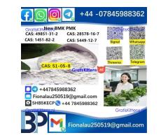 BMK PMK cas51-05-8 Procaine HCl raw materials